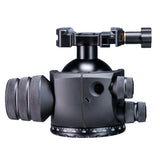 55mm Dual Tension Arca