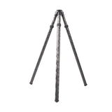 TWO VETS QDT V2 Inverted