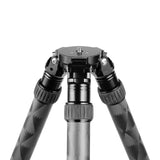 TWO VETS QDT V2 Inverted